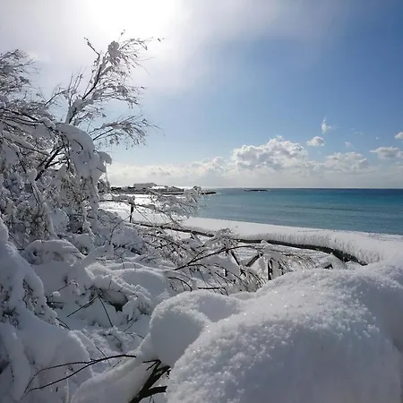 Alojamento de Acomodação e Pequeno-almoço Lu Puzzu Luengu 3*